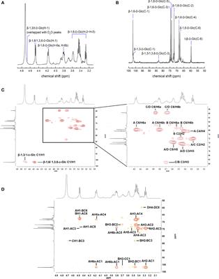 β-1,6-Glucan From Pleurotus eryngii Modulates the Immunity and Gut Microbiota